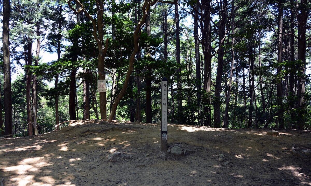 山崎城（千葉県）