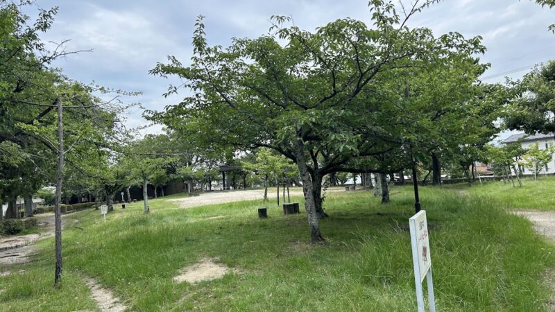 桜井城（千葉県）