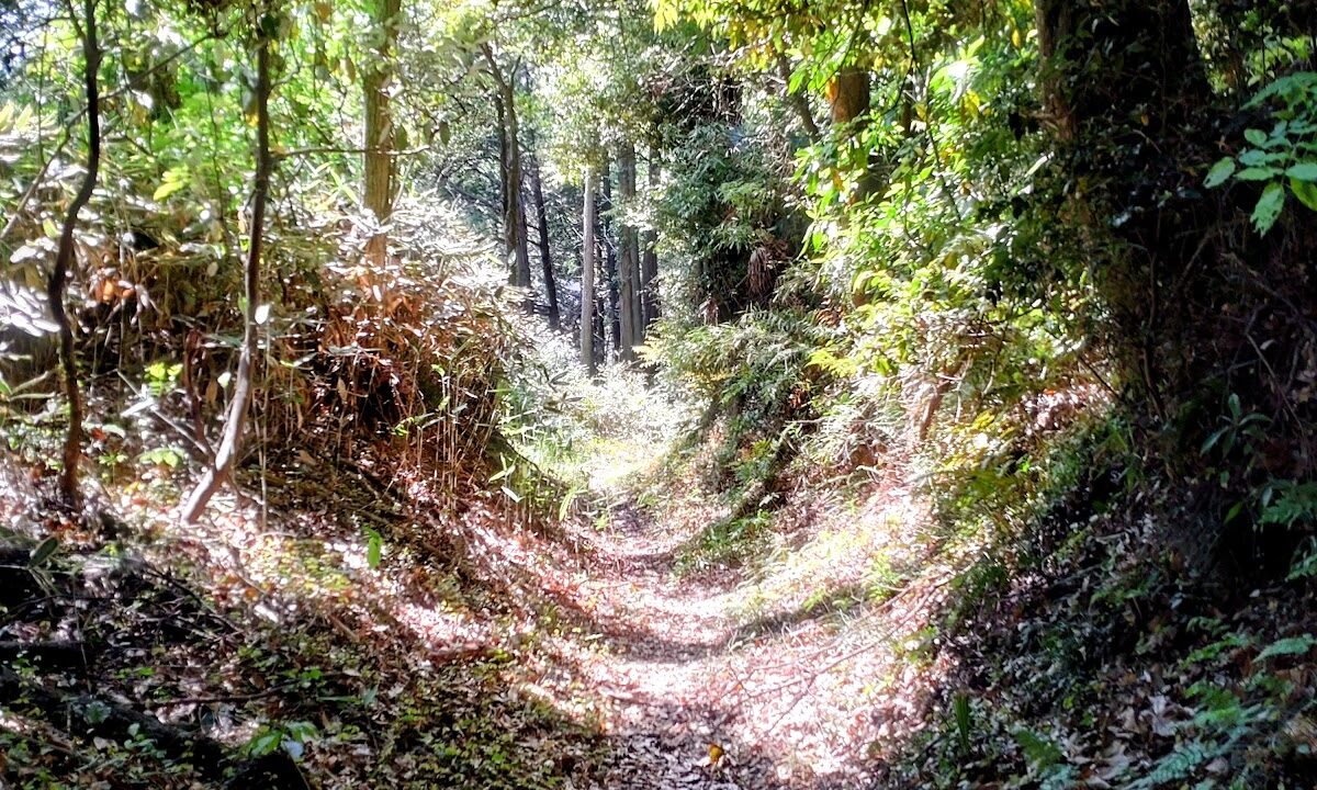 中沢城（千葉県）