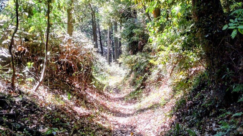 中沢城（千葉県）