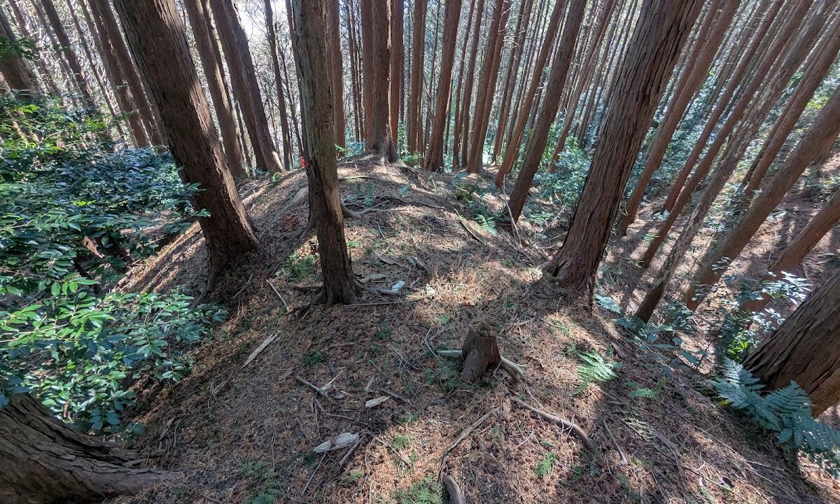 布施城（千葉県）
