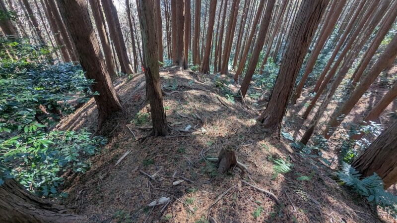 布施城（千葉県）