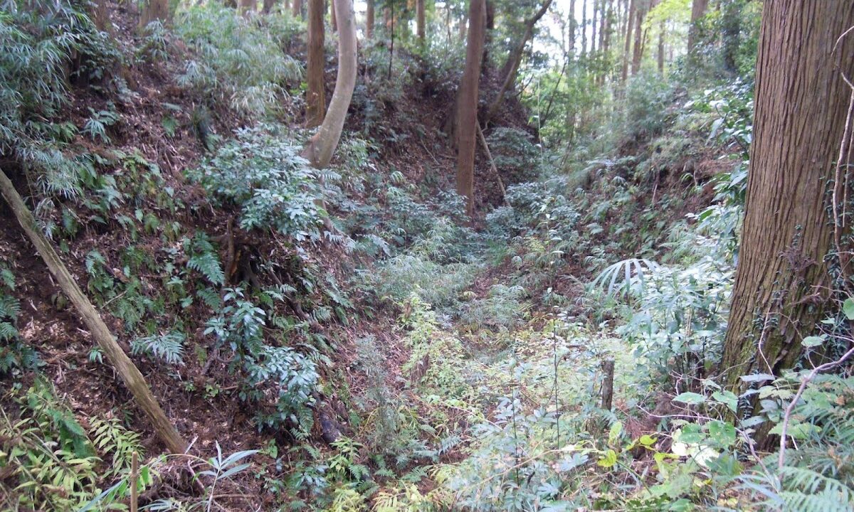津辺城（千葉県）
