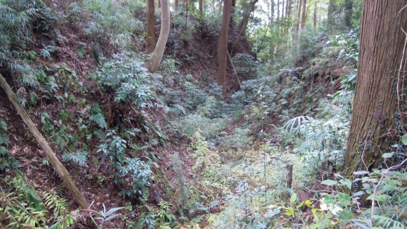 津辺城（千葉県）