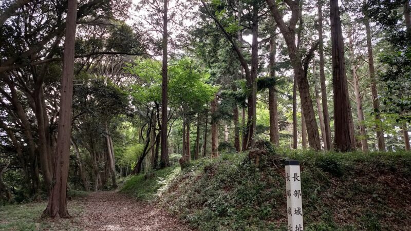 長部城（千葉県）