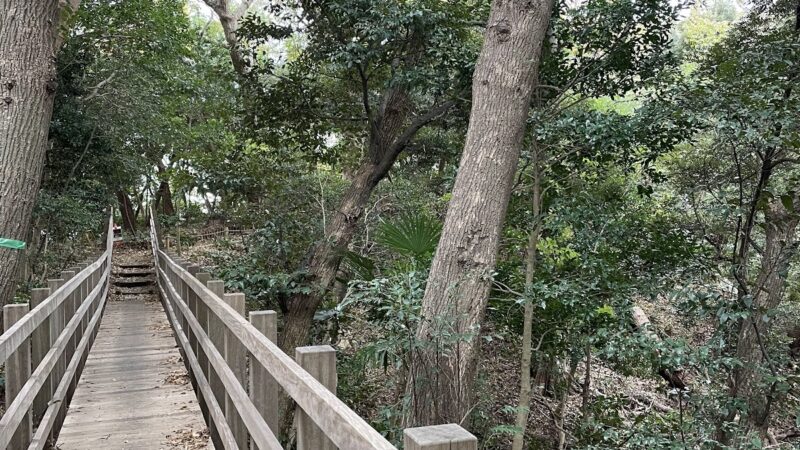 小磯城（神奈川県）