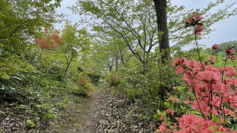 中島城（千葉県）