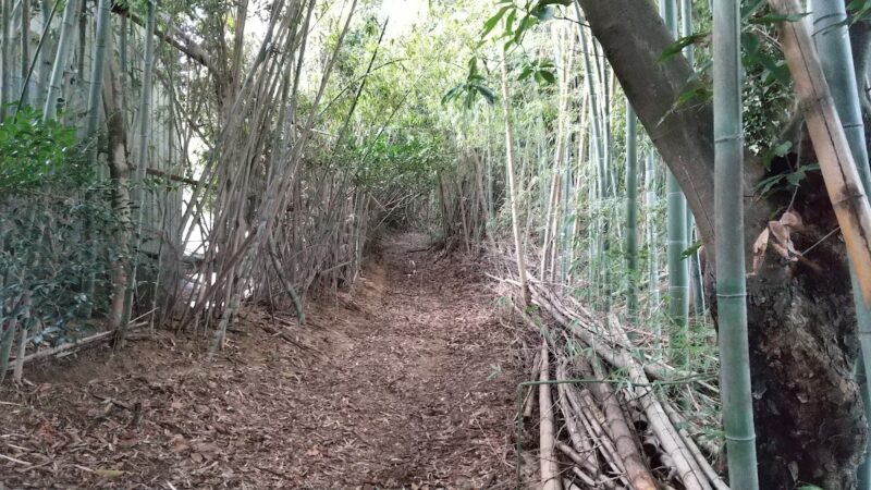 金堀城（千葉県）
