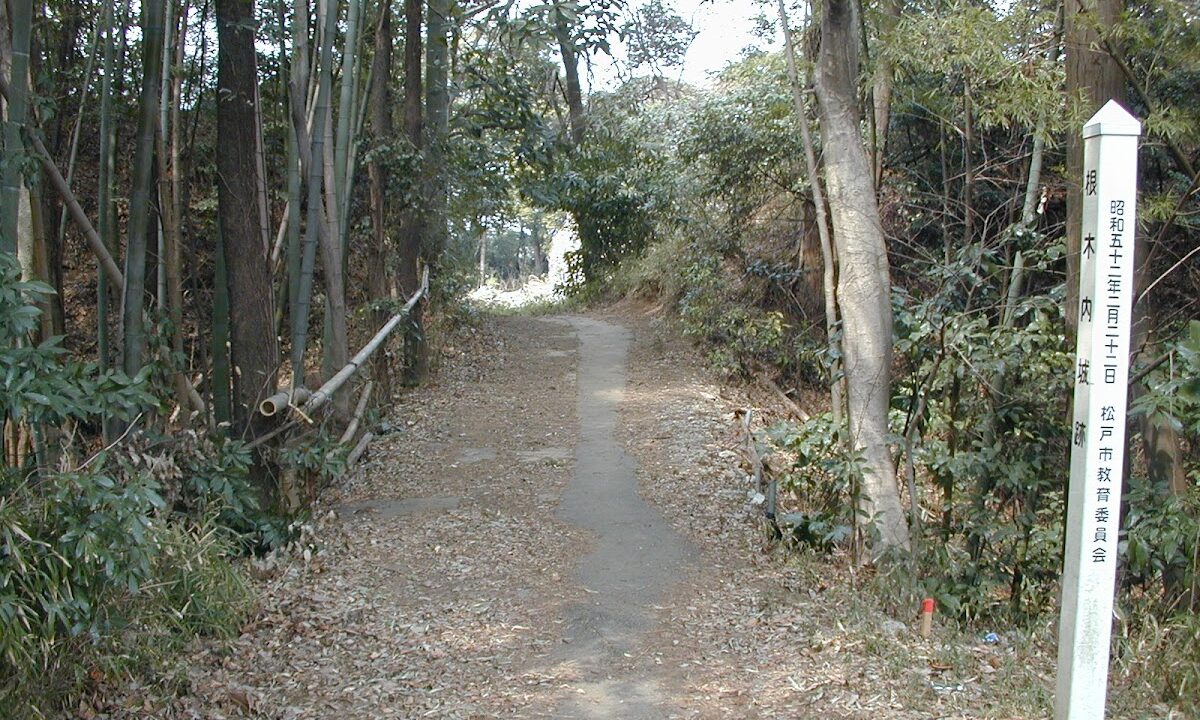Kurigazawa Castle（千葉県）