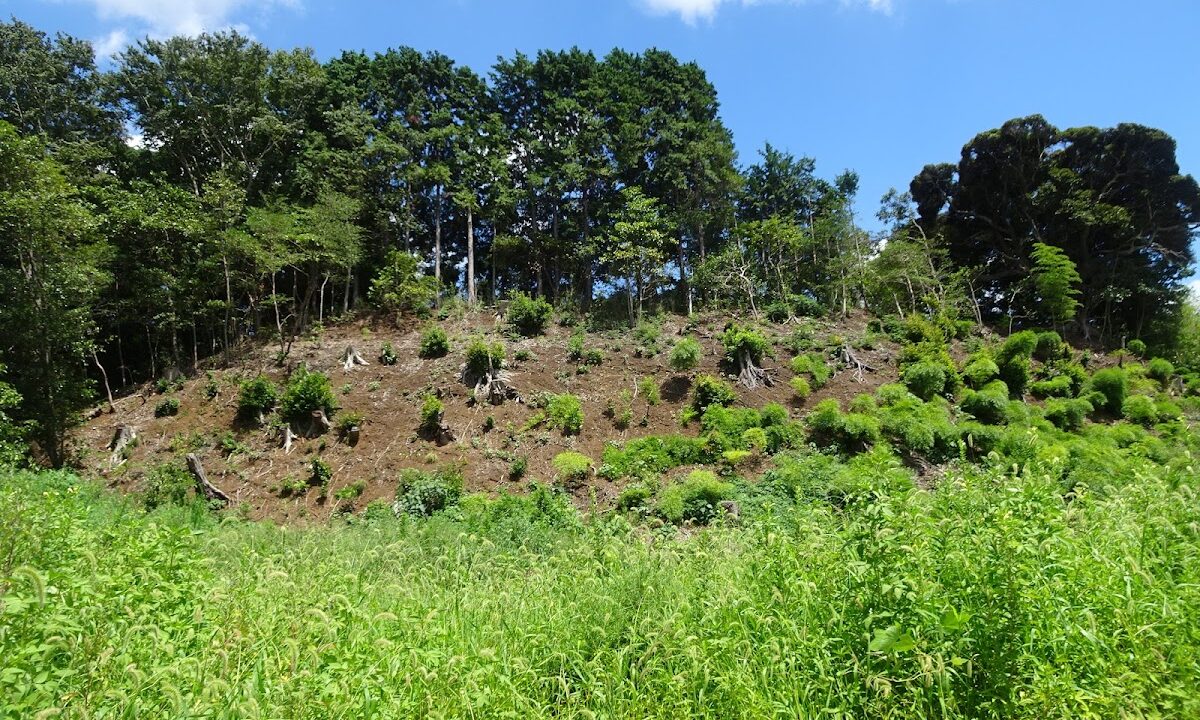 Kanasugi Castle（千葉県）