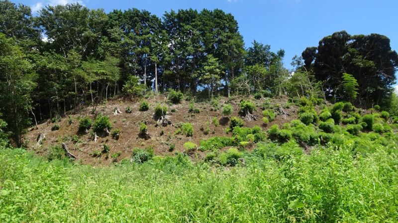金杉城（千葉県）