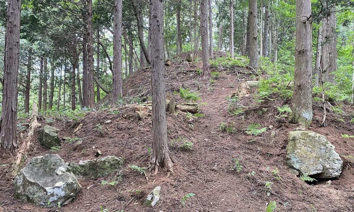 Furukawa Castle（岐阜県）